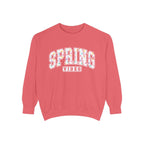 Spring Vibes Sweatshirt
