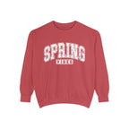Spring Vibes Sweatshirt