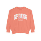 Spring Vibes Sweatshirt